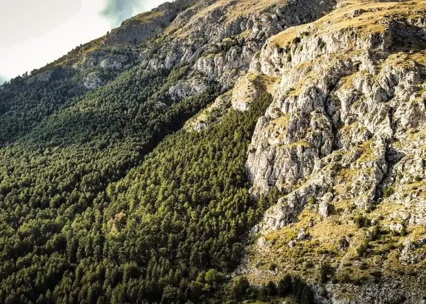 sentiero federico II celano