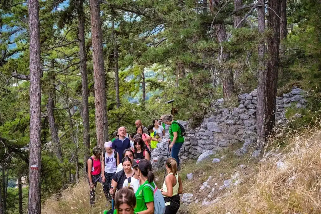 366745296 155359040923542 8067075300663375110 n original webp